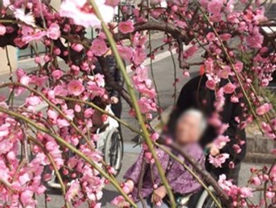 花を楽しむ外の様子