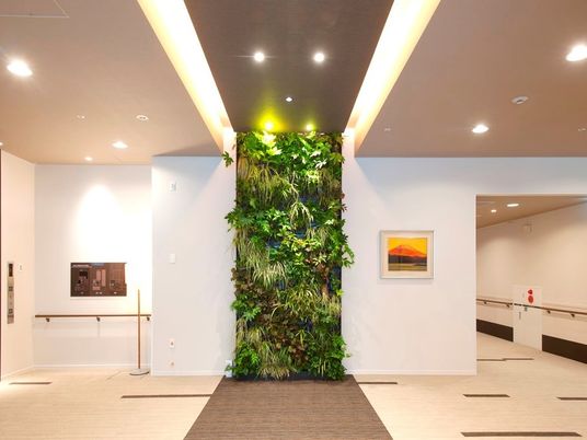 壁一面の緑の植物