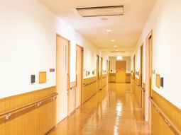 清潔な廊下の様子