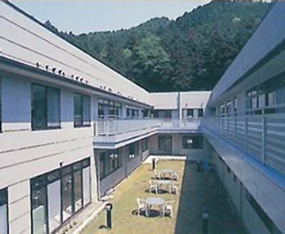 自然豊かな中庭