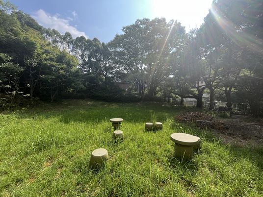 自然豊かな庭