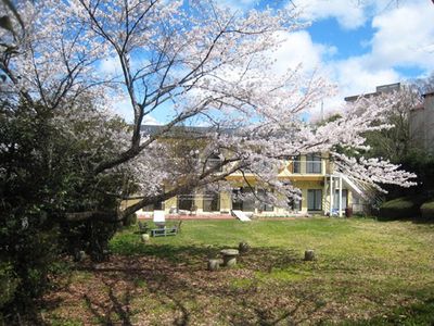 静かな庭