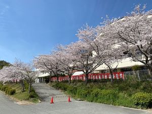 桜並木の施設外観  