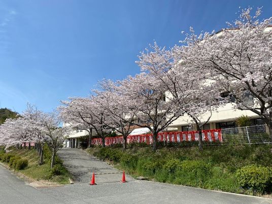 桜並木の施設外観  