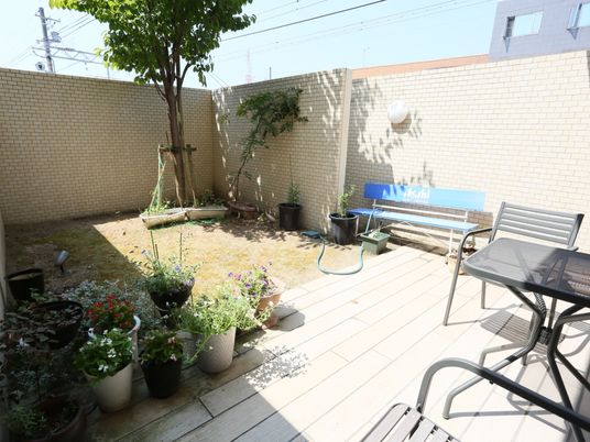 中庭の植物とベンチ