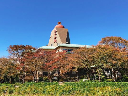 紅葉に囲まれた建物外観  