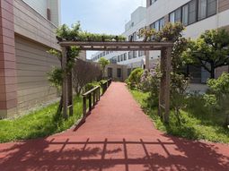 緑豊かな中庭