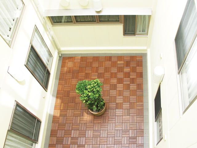 観葉植物がある中庭 中庭 自然光が差し込む明るい中庭です。リラックスできる空間が広がっています。