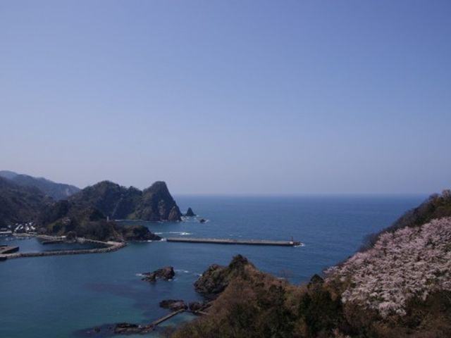 美しい海岸線風景 外観 雄大な海と自然が広がる眺望です。穏やかな環境で、心安らぐひとときを過ごせます。