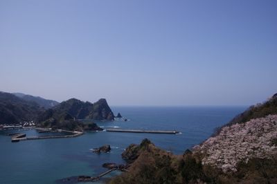 美しい海岸線風景