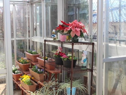 光あふれる植物の空間