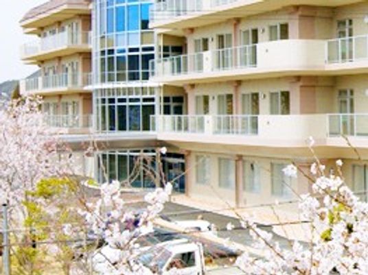桜と建物の外観  