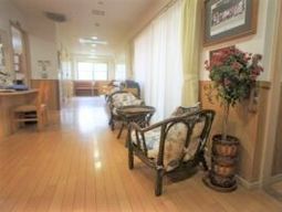 明るい廊下の様子