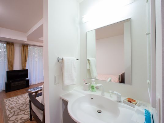 洗面台とリビングの居室