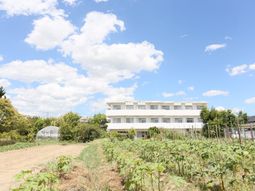 青空と建物の外観