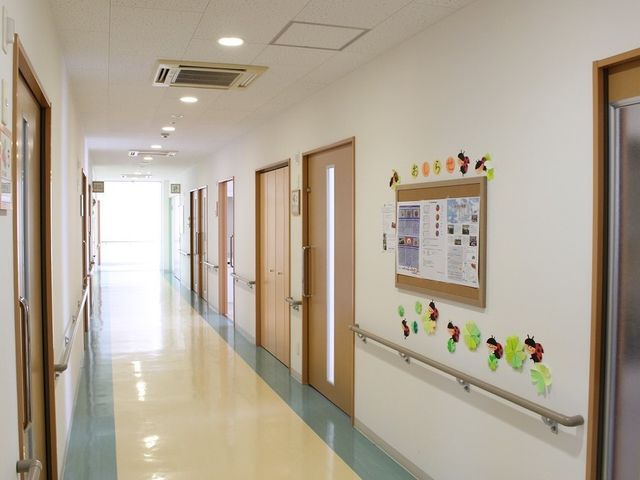明るく清潔な廊下 廊下 手すりが設けられた明るい通路です。壁には案内板や飾り付けがあり、訪れる方々に安心感を提供しています。