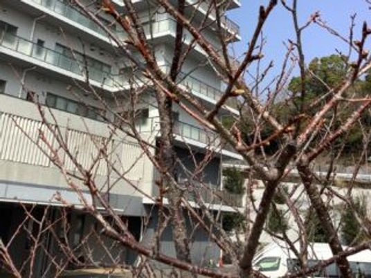 施設の外観  