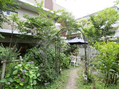 緑豊かな施設の中庭