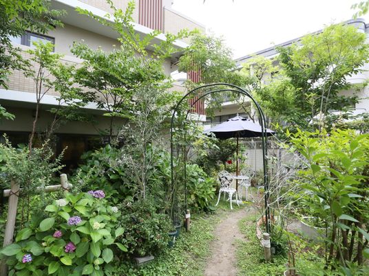 緑豊かな施設の中庭