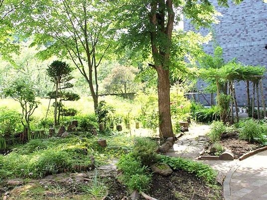 緑あふれる庭  