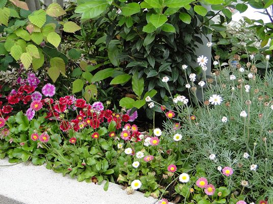 豊かな花々の中庭