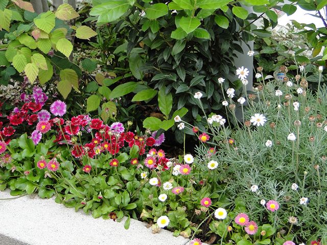 豊かな花々の中庭 花壇 色とりどりの花が咲き誇る憩いの場所です。自然の息吹を感じながら、心穏やかなひとときを過ごすことができます。