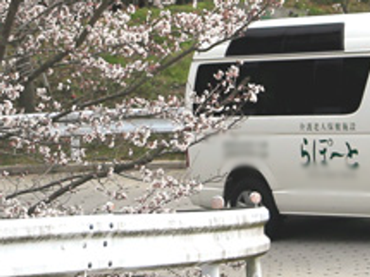 桜のあるエントランス