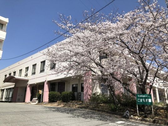 桜前の外観  