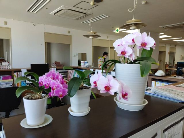 華やかな植物が並ぶラウンジ