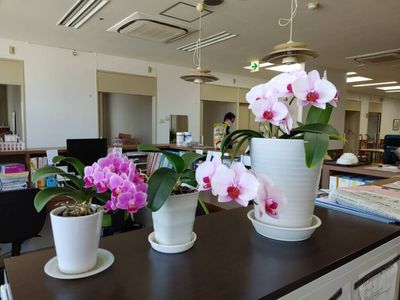 華やかな植物が並ぶラウンジ