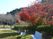 紅葉の庭