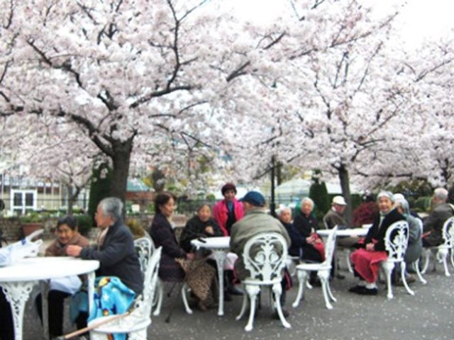 桜の下での憩いの時間 イベント ゆったりとした時間が流れる中庭で、桜の花を眺めながらリラックスしたひとときを過ごしている方々がいます。癒しと和やかな会話が交わされる場所です。
