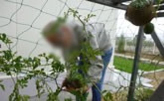 植物を手入れする人