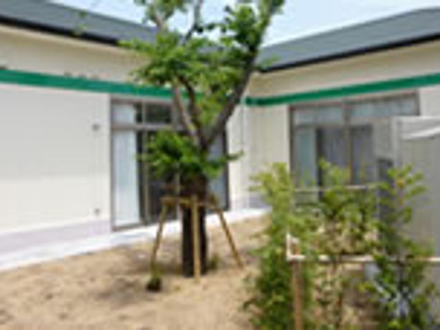 自然豊かな中庭 中庭 緑が広がる中庭は、訪問者や入居者が穏やかに過ごせる安らぎの空間です。
