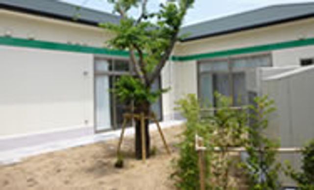 自然豊かな中庭 中庭 緑が広がる中庭は、訪問者や入居者が穏やかに過ごせる安らぎの空間です。