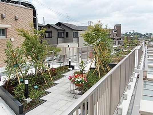 屋上の庭園  