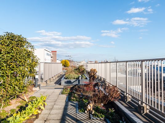 青空と植物の歩道