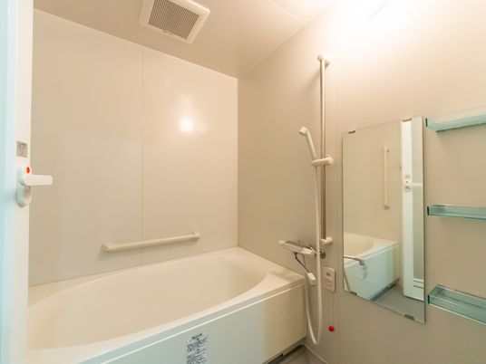 清潔な浴槽の浴室