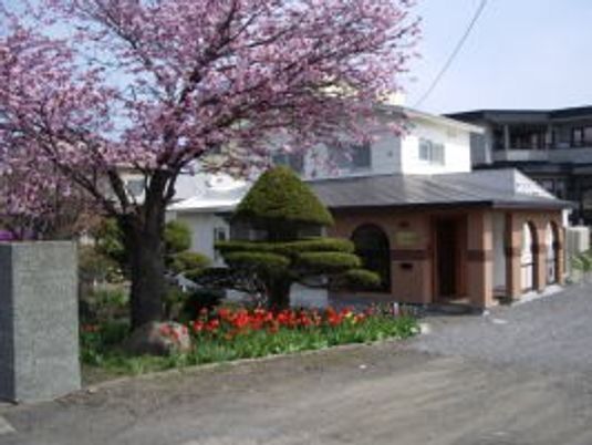 桜のある建物外観  