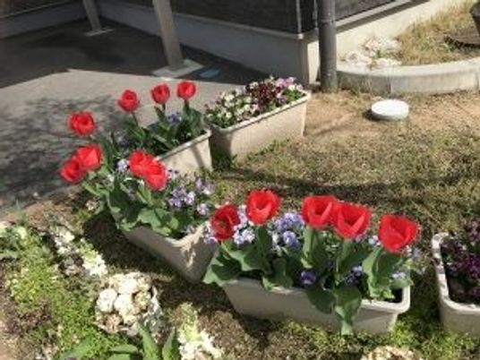 花壇のある中庭  