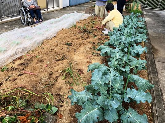 家庭菜園での活動