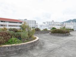 緑豊かな中庭の景観