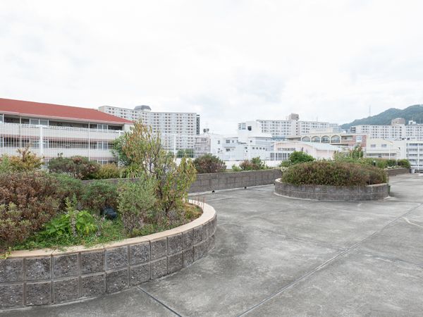 緑豊かな中庭の景観
