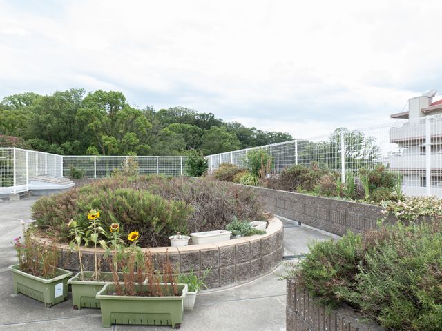 緑豊かな屋上庭園