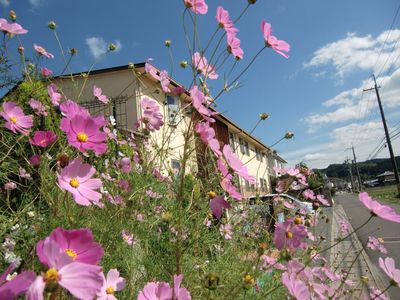 花と建物の外観