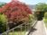 紅葉と緑に囲まれた通路