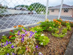 花壇と外観が映る景色