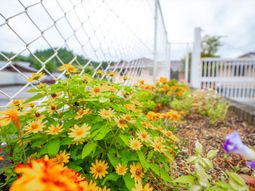 花が咲く施設の中庭