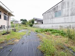 草木が生い茂る中庭