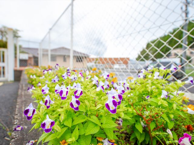 紫白の花と緑の庭 花壇 緑豊かな庭が心を和ませ、四季折々の自然を間近に感じられる空間です。訪れる方々に穏やかなひとときを提供します。